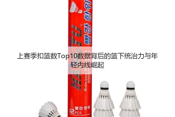 上赛季扣篮数Top10数据背后的篮下统治力与年轻内线崛起